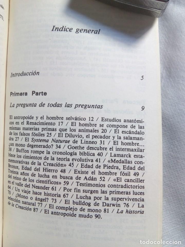 Libros de segunda mano: DEL MONO AL HOMBRE / HERBERT WENDT - Foto 9