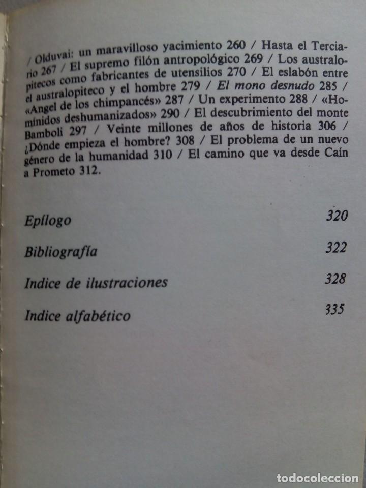 Libros de segunda mano: DEL MONO AL HOMBRE / HERBERT WENDT - Foto 11