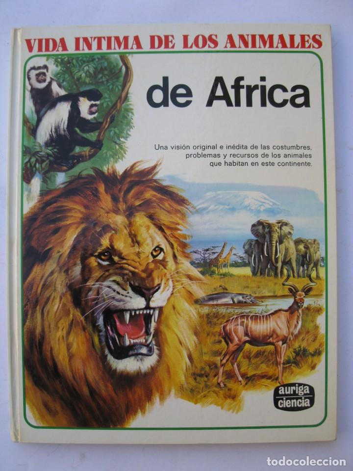 vida íntima de los animales - nº 11 - de áfrica - Comprar Libros de