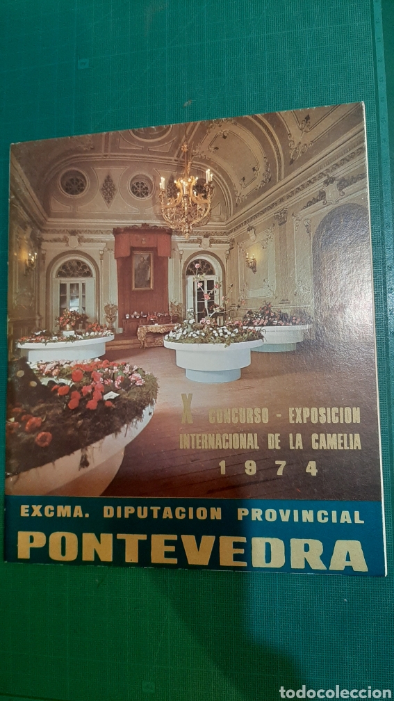 Libri di seconda mano: 1974 PONTEVEDRA EXPOSICI&Oacute;N CAMELIA CATALOGO EXPOSICI&Oacute;N