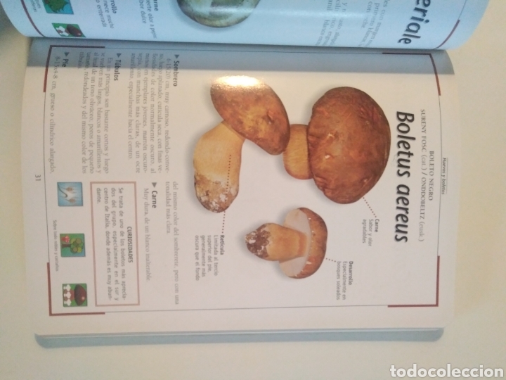 Libros de segunda mano: Setas de prados y bosques / Marc Kobold - Foto 4
