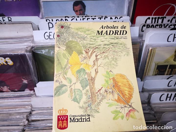 Libros de segunda mano: &Aacute;rboles de Madrid , Antonio L&oacute;pez Lillo - Foto 1