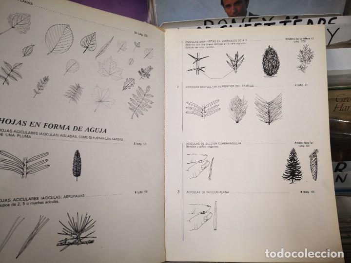 Libros de segunda mano: &Aacute;rboles de Madrid , Antonio L&oacute;pez Lillo - Foto 4