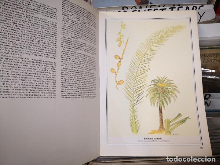 Libros de segunda mano: &Aacute;rboles de Madrid , Antonio L&oacute;pez Lillo - Foto 5