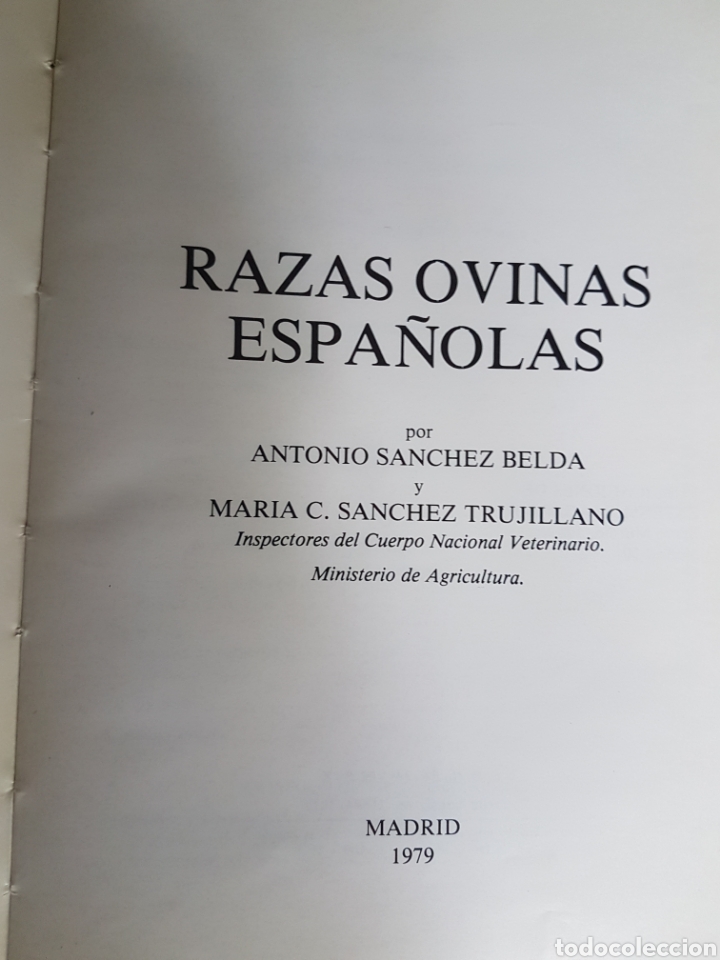 Libros de segunda mano: Gran libro razas ovinas espa&ntilde;olas 1979 - Foto 2
