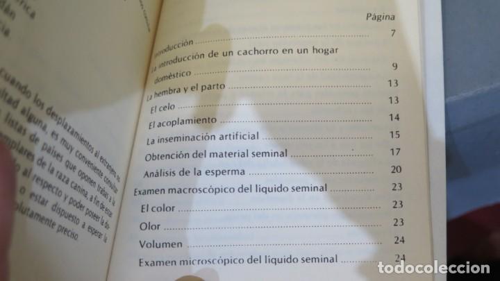 Libros de segunda mano: CACHORROS. RUSELL - Foto 2
