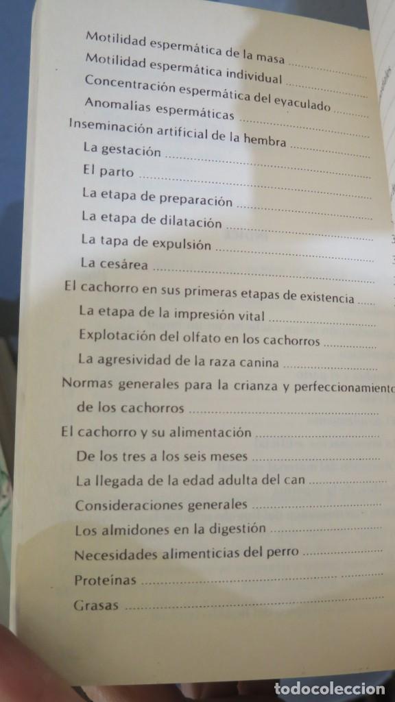 Libros de segunda mano: CACHORROS. RUSELL - Foto 3