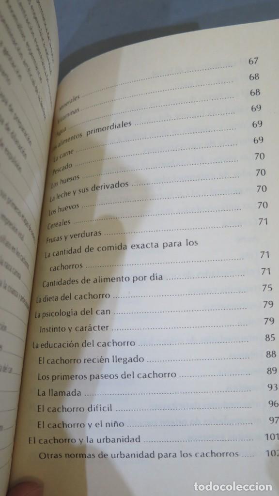 Libros de segunda mano: CACHORROS. RUSELL - Foto 4