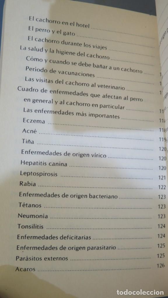 Libros de segunda mano: CACHORROS. RUSELL - Foto 5
