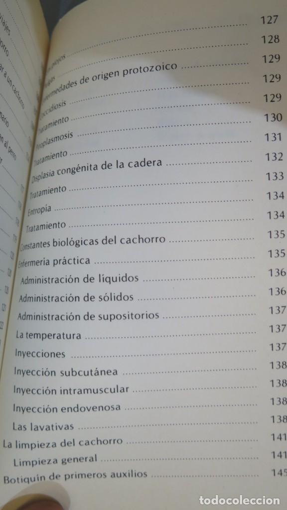 Libros de segunda mano: CACHORROS. RUSELL - Foto 6