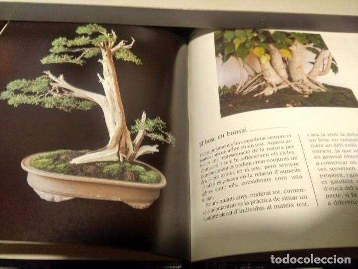 Libros de segunda mano: BONZAI : TECNIQUES I CONREU - Foto 2