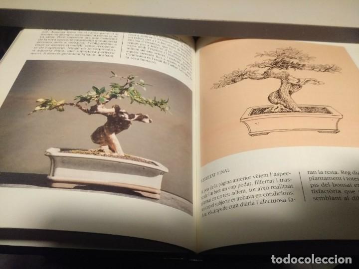 Libros de segunda mano: BONZAI : TECNIQUES I CONREU - Foto 4