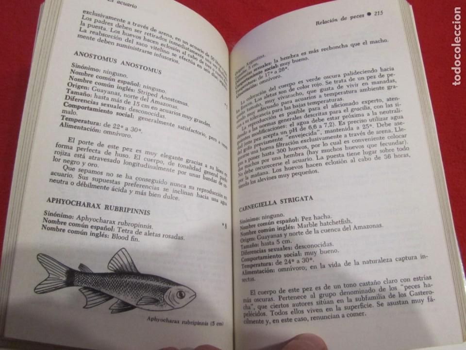 Libros de segunda mano: EL ACUARIO, PECES, POR H.FABRE, EDICIONES DAIMON - Foto 10