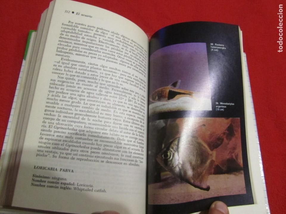 Libros de segunda mano: EL ACUARIO, PECES, POR H.FABRE, EDICIONES DAIMON - Foto 11