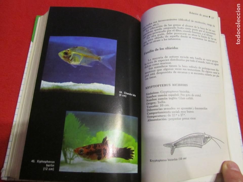 Libros de segunda mano: EL ACUARIO, PECES, POR H.FABRE, EDICIONES DAIMON - Foto 12