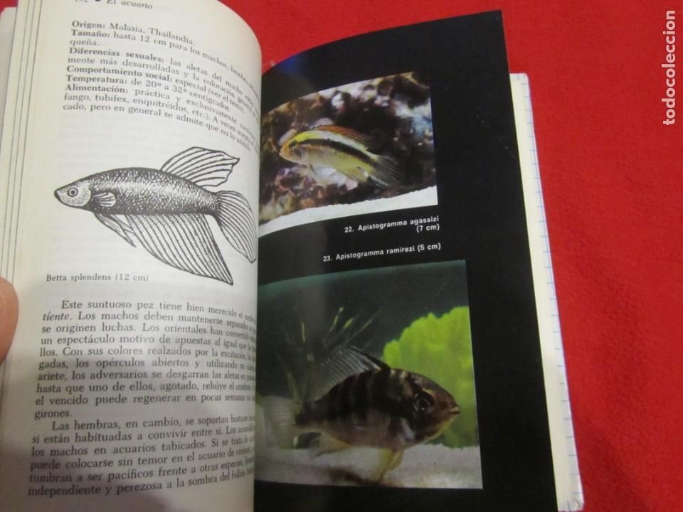 Libros de segunda mano: EL ACUARIO, PECES, POR H.FABRE, EDICIONES DAIMON - Foto 15