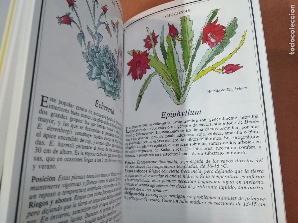 Libros de segunda mano: plantas de interior - kenneth beckett - JDB - Foto 3