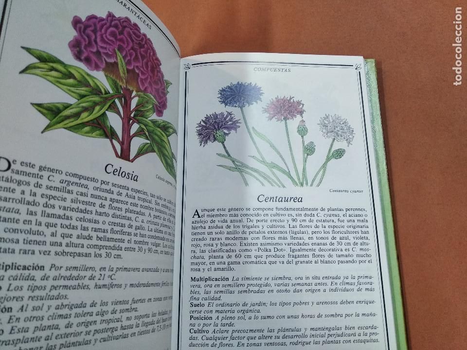 Libros de segunda mano: Anuales y bianuales - Kenneth Beckett - JAB - Foto 2