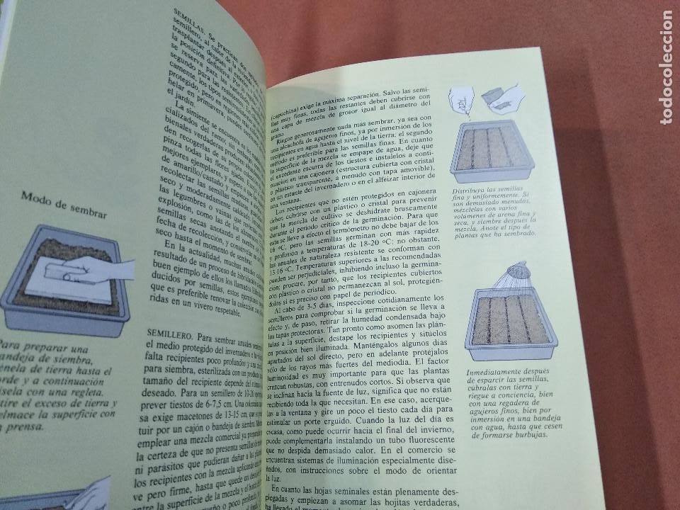 Libros de segunda mano: Anuales y bianuales - Kenneth Beckett - JAB - Foto 3