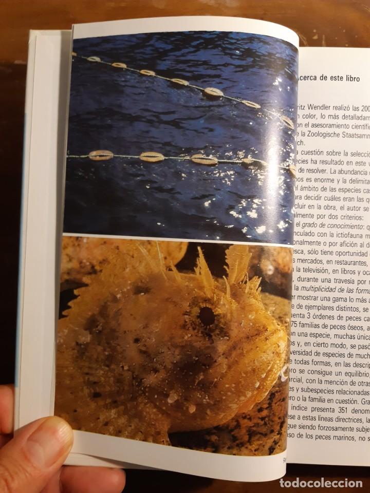 Libros de segunda mano: Peces de mar Blume - Foto 5