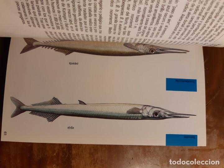 Libros de segunda mano: Peces de mar Blume - Foto 6