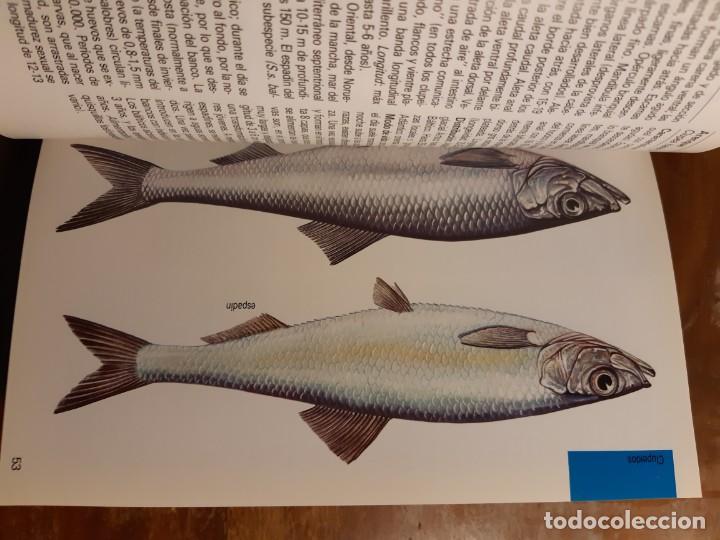 Libros de segunda mano: Peces de mar Blume - Foto 14