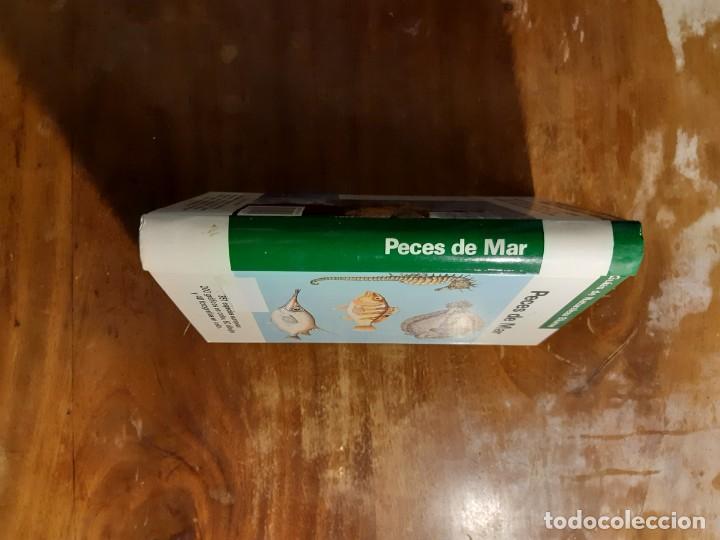 Libros de segunda mano: Peces de mar Blume - Foto 16