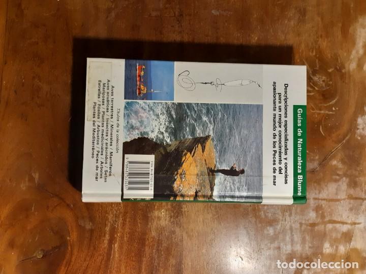 Libros de segunda mano: Peces de mar Blume - Foto 18