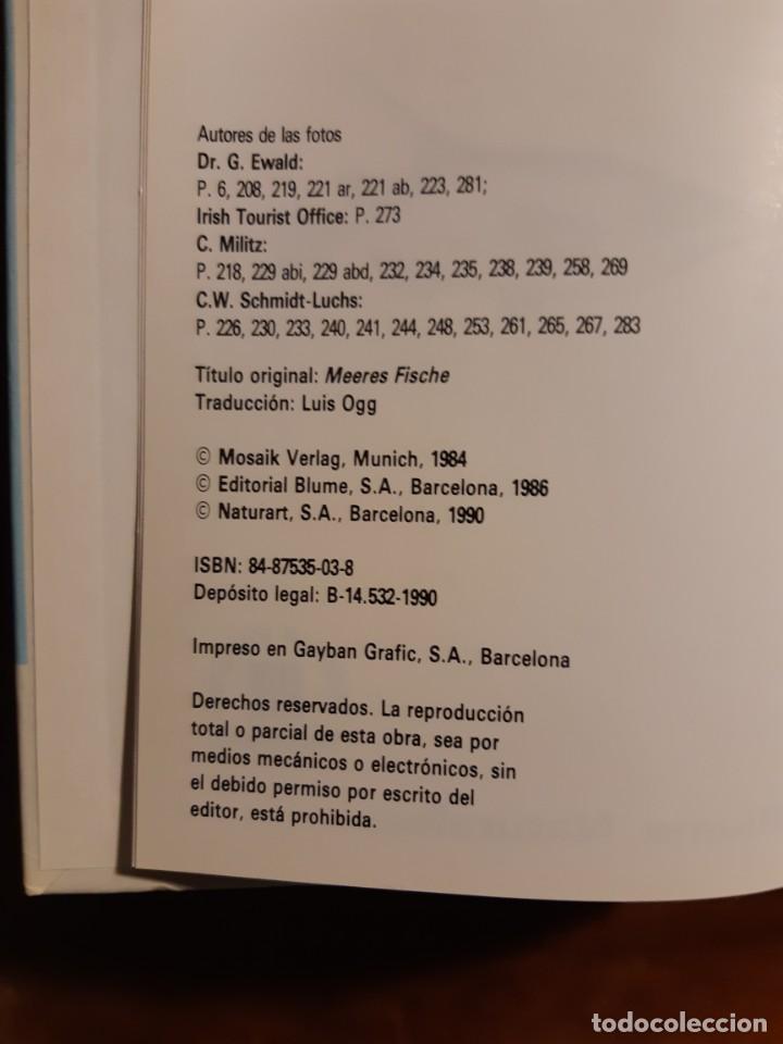 Libros de segunda mano: Peces de mar Blume - Foto 19