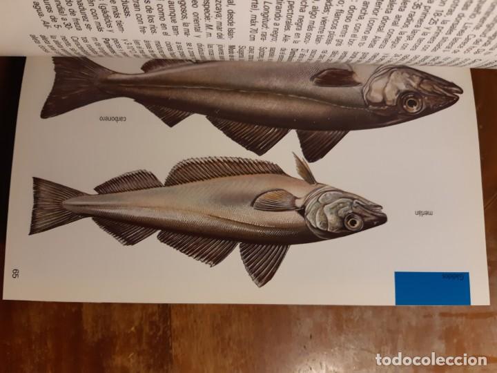 Libros de segunda mano: Peces de mar Blume - Foto 20