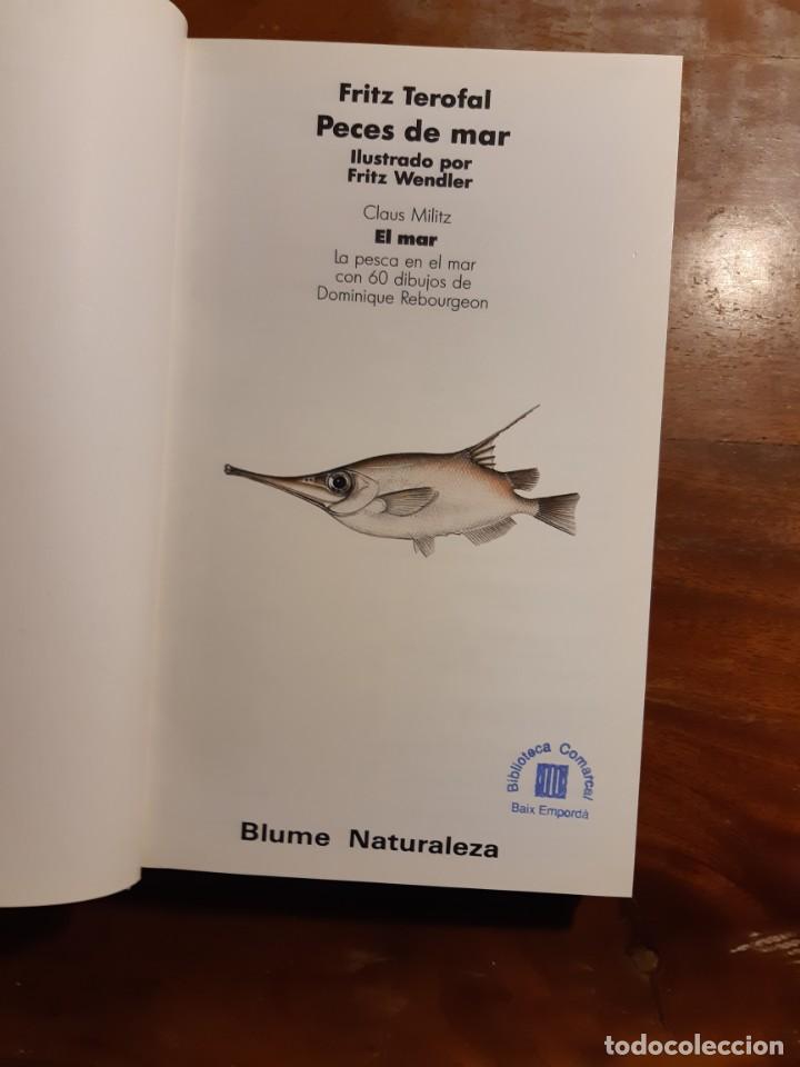 Libros de segunda mano: Peces de mar Blume - Foto 21