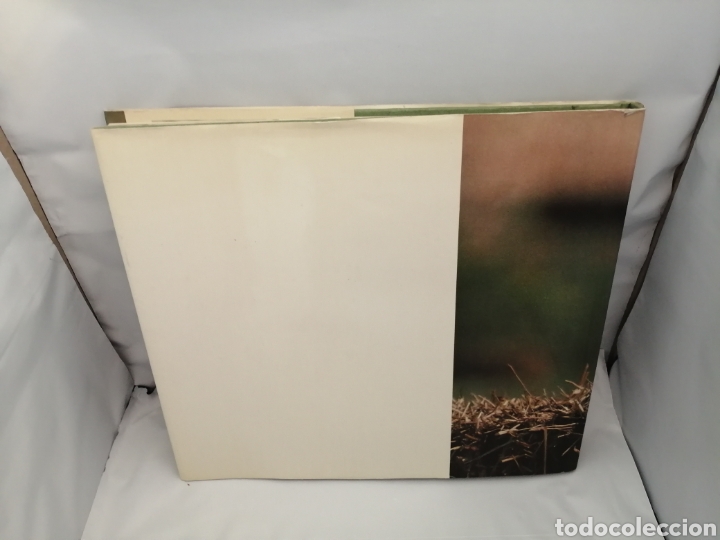Libros de segunda mano: LA PERDIZ ROJA Y SU MUNDO (PRIMERA EDICI&Oacute;N) - Foto 2