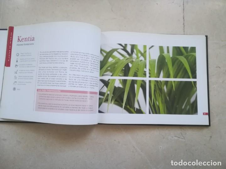 Libros de segunda mano: PLANTAS.- CONOCER NUESTRAS PLANTAS - Foto 2