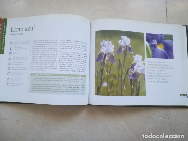 Libros de segunda mano: PLANTAS.- CONOCER NUESTRAS PLANTAS - Foto 3