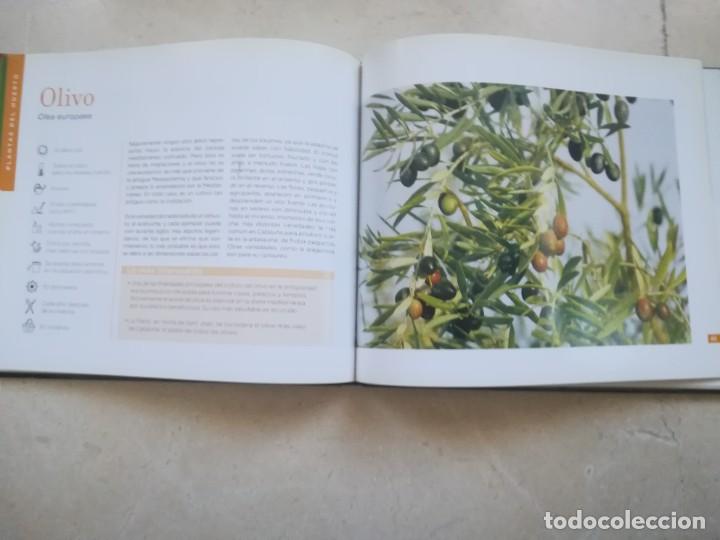 Libros de segunda mano: PLANTAS.- CONOCER NUESTRAS PLANTAS - Foto 4