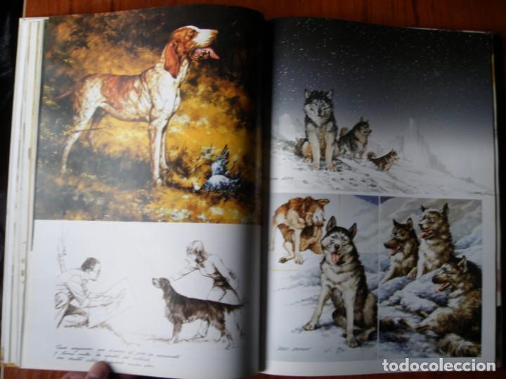 Libros de segunda mano: LIBRO PERROS COLOR Y FORMA JOSE CARLOS GRACIA ED ESPASA - Foto 4
