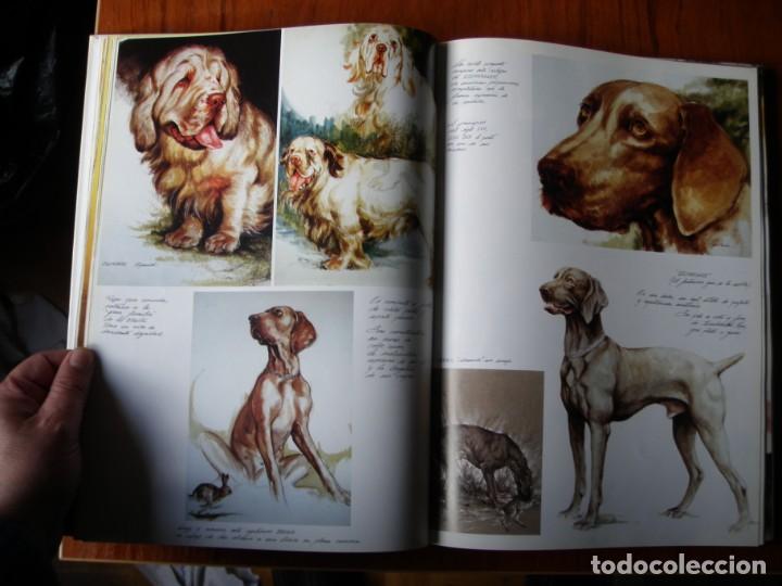 Libros de segunda mano: LIBRO PERROS COLOR Y FORMA JOSE CARLOS GRACIA ED ESPASA - Foto 5