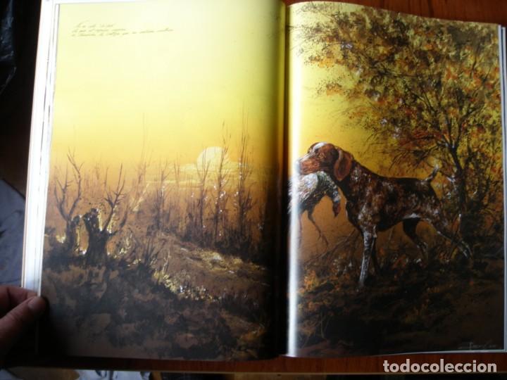 Libros de segunda mano: LIBRO PERROS COLOR Y FORMA JOSE CARLOS GRACIA ED ESPASA - Foto 6