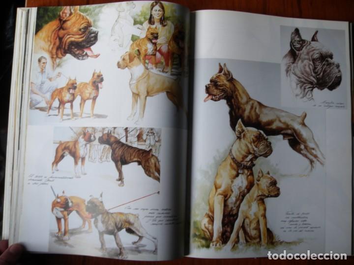 Libros de segunda mano: LIBRO PERROS COLOR Y FORMA JOSE CARLOS GRACIA ED ESPASA - Foto 7