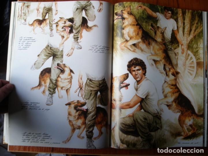 Libros de segunda mano: LIBRO PERROS COLOR Y FORMA JOSE CARLOS GRACIA ED ESPASA - Foto 9