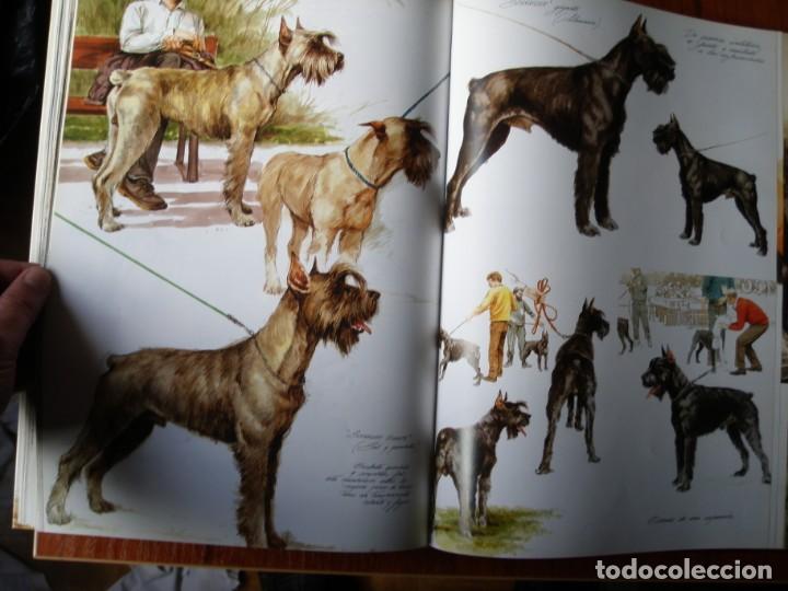 Libros de segunda mano: LIBRO PERROS COLOR Y FORMA JOSE CARLOS GRACIA ED ESPASA - Foto 11