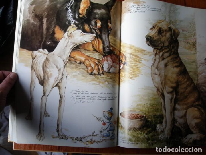 Libros de segunda mano: LIBRO PERROS COLOR Y FORMA JOSE CARLOS GRACIA ED ESPASA - Foto 14