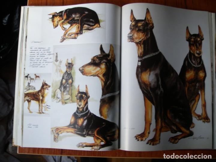 Libros de segunda mano: LIBRO PERROS COLOR Y FORMA JOSE CARLOS GRACIA ED ESPASA - Foto 15