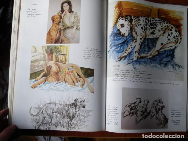 Libros de segunda mano: LIBRO PERROS COLOR Y FORMA JOSE CARLOS GRACIA ED ESPASA - Foto 16