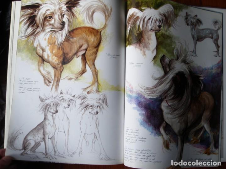 Libros de segunda mano: LIBRO PERROS COLOR Y FORMA JOSE CARLOS GRACIA ED ESPASA - Foto 17