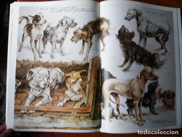 Libros de segunda mano: LIBRO PERROS COLOR Y FORMA JOSE CARLOS GRACIA ED ESPASA - Foto 18