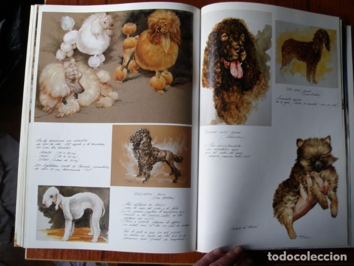 Libros de segunda mano: LIBRO PERROS COLOR Y FORMA JOSE CARLOS GRACIA ED ESPASA - Foto 19