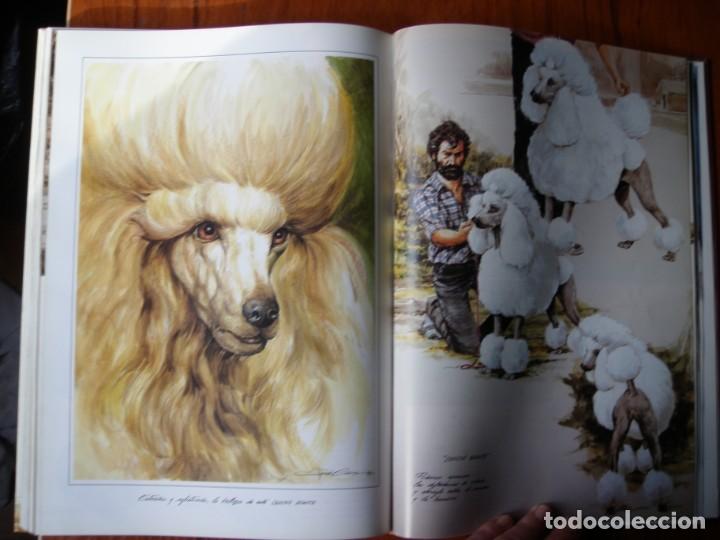 Libros de segunda mano: LIBRO PERROS COLOR Y FORMA JOSE CARLOS GRACIA ED ESPASA - Foto 20