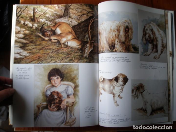 Libros de segunda mano: LIBRO PERROS COLOR Y FORMA JOSE CARLOS GRACIA ED ESPASA - Foto 21