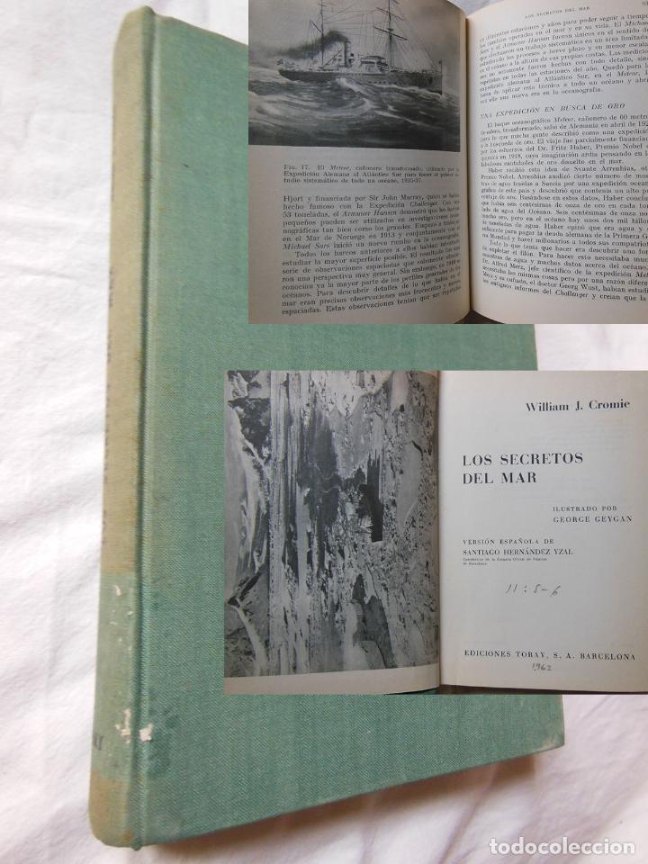 Libros de segunda mano: LOS SECRETOS DEL MAR. 1964 WILLIAM J. CROMIE - Foto 1